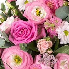 Florist Choice Seasonal Container Arrangement