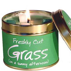 Freshly Cut Grass