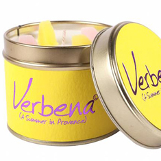 Verbena